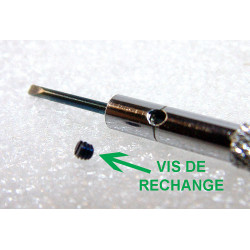 Vis de rechange pour tournevis.