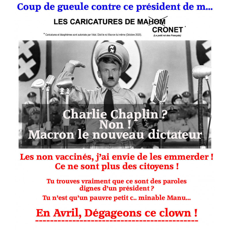 Les caricatures de Macronet 15