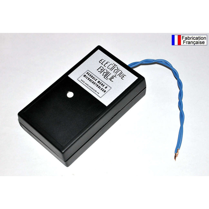 Boitier pendule mère Brillié sur pile
