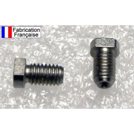 Vis à cornet (crapaudine) pour réveil SMI 95.