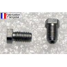 Vis à cornet (crapaudine) pour réveil SMI 95.