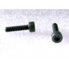 Lot de 2 vis Allen Longueur 30mm Filetage 3mm.